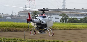 2020年度 鹿室のコスモス畑にコスモスの種を蒔くときの様子 写真2枚目