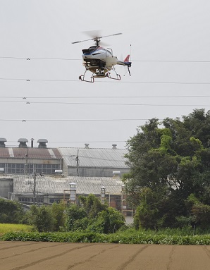 2020年度 鹿室のコスモス畑にコスモスの種を蒔くときの様子 写真3枚目