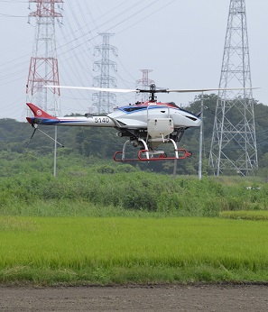 2020年度 鹿室のコスモス畑にコスモスの種を蒔くときの様子 写真8枚目