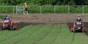 2021年8月07日にコスモスの種を蒔く準備の作業　 写真2枚目