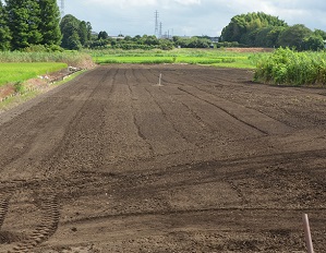 2021年8月07日にコスモスの種を蒔く準備の作業　 写真11枚目