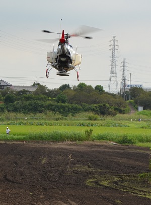 2021年度 コスモスの種を蒔く作業中 写真4枚目