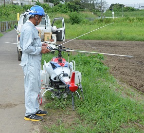 2021年度 コスモスの種を蒔く作業中 写真6枚目