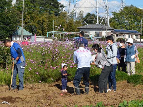 鹿室コスモス 2022年10月29日現在の近況写真5枚目