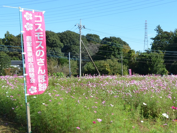 鹿室コスモス 2022年10月30日現在の近況写真1枚目