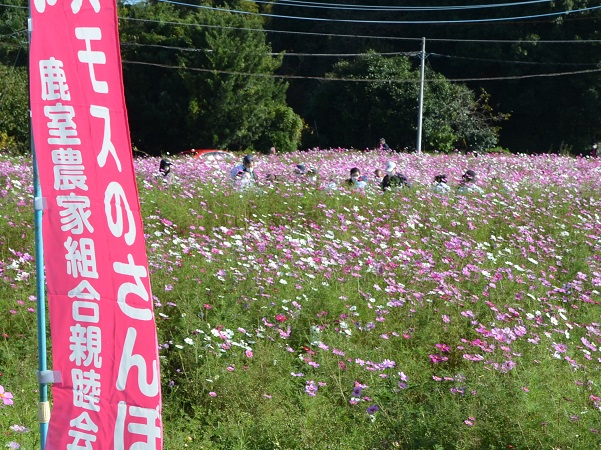 鹿室コスモス 2022年10月30日現在の近況写真3枚目