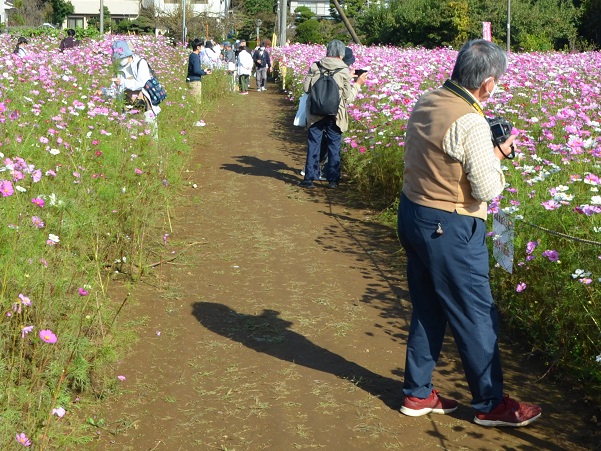 鹿室コスモス 2022年10月30日現在の近況写真5枚目