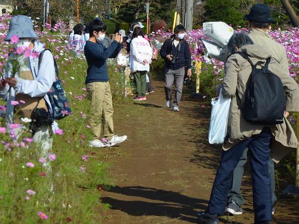 鹿室コスモス 2022年10月30日現在の近況写真6枚目