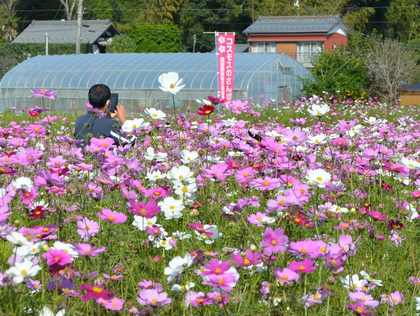 鹿室コスモス 2022年10月30日現在の近況写真7枚目