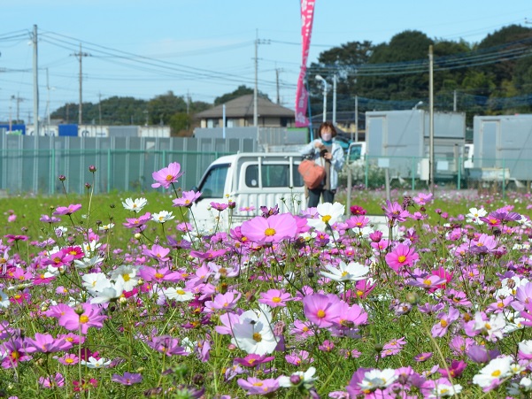 鹿室コスモス 2022年10月30日現在の近況写真8枚目