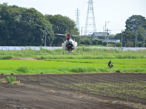 2022年度 鹿室農家親睦会の皆さんの協力を得て鹿室のコスモス畑にコスモスの種を蒔くときの様子 写真8枚目