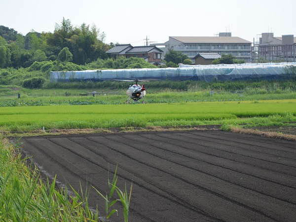 2022年度 鹿室農家親睦会の皆さんの協力を得て鹿室のコスモス畑にコスモスの種を蒔くときの様子 写真13枚目