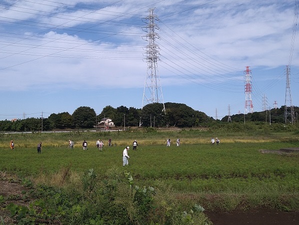 鹿室コスモス 2023年度 第2回目のコスモスの除草作業をしているところの写真1枚目