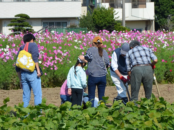 鹿室コスモス 2023年 10月28日＆10月29日のスナップ写真5枚目