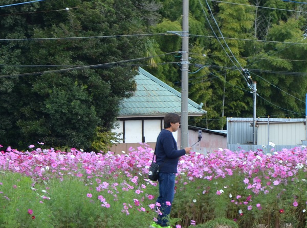 鹿室コスモス 2023年 10月28日＆10月29日のスナップ写真9枚目