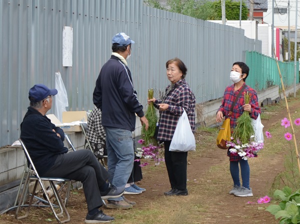 鹿室コスモス 2023年 10月28日＆10月29日のスナップ写真10枚目