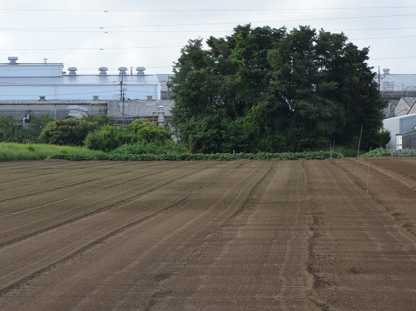 鹿室コスモス 2023年度のコスモス畑の種蒔き準備のために休耕の田んぼをトラクターで耕作作業を実施した画像3枚目