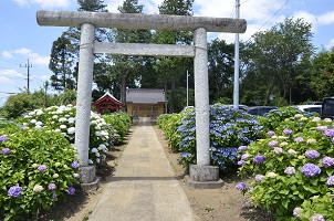 鹿室地区の新たなパワースポット　和泉三社の画像11枚目