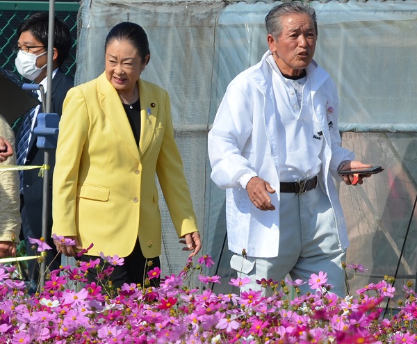 鹿室のコスモス見学に2023年11月3日に土屋復興大臣がいらっしゃいましたのでその様子を撮影した写真2枚目