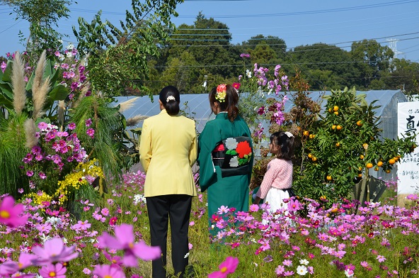 鹿室のコスモス見学に2023年11月3日に土屋復興大臣がいらっしゃいましたのでその様子を撮影した写真6枚目