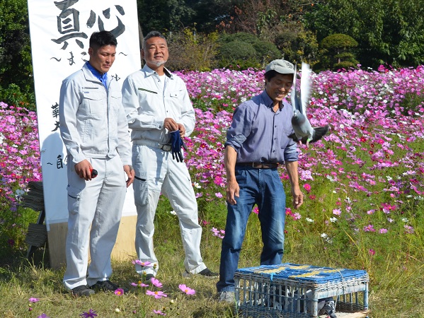 鹿室のコスモス見学に2023年11月3日に土屋復興大臣がいらっしゃいましたのでその様子を撮影した写真12枚目