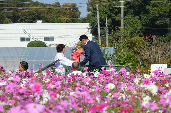 鹿室のコスモス見学に2023年11月3日に土屋復興大臣がいらっしゃいましたのでその様子を撮影した写真21枚目