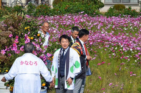 鹿室のコスモス見学にさいたま市の市長がいらっしゃいましたのでその様子を撮影した写真3枚目