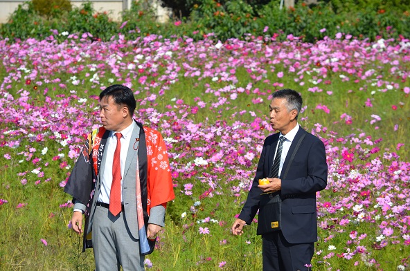 鹿室のコスモス見学にさいたま市の市長がいらっしゃいましたのでその様子を撮影した写真5枚目