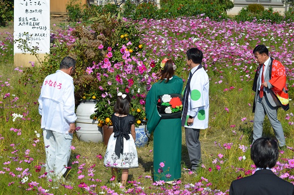 鹿室のコスモス見学にさいたま市の市長がいらっしゃいましたのでその様子を撮影した写真6枚目