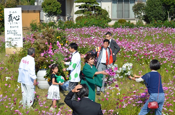 鹿室のコスモス見学にさいたま市の市長がいらっしゃいましたのでその様子を撮影した写真7枚目