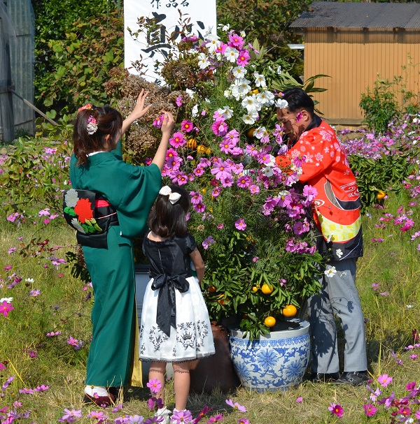 鹿室のコスモス見学にさいたま市の市長がいらっしゃいましたのでその様子を撮影した写真11枚目