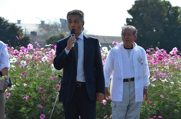 鹿室のコスモス見学にさいたま市の市長がいらっしゃいましたのでその様子を撮影した写真28枚目