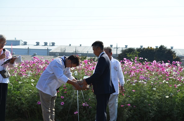 鹿室のコスモス見学にさいたま市の市長がいらっしゃいましたのでその様子を撮影した写真29枚目