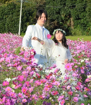 2020年10月31日 鹿室コスモス畑で結婚写真撮影が行われましたそのうちの写真10枚目