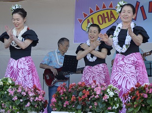 2018年度鹿室コスモス祭り　ハワイアン＆フラダンス部の写真13枚目