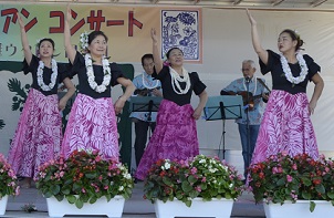 2018年度鹿室コスモス祭り　ハワイアン＆フラダンス部の写真16枚目