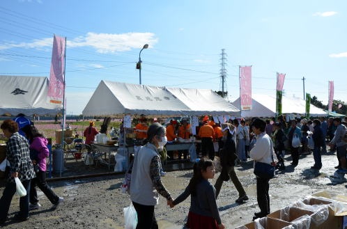 2015年度鹿室コスモス祭りの会場での写真5枚目