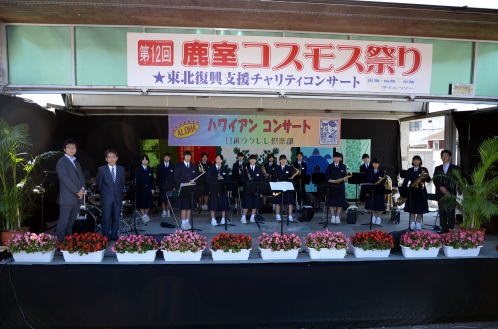 2015年度鹿室コスモス祭りの会場での写真6枚目