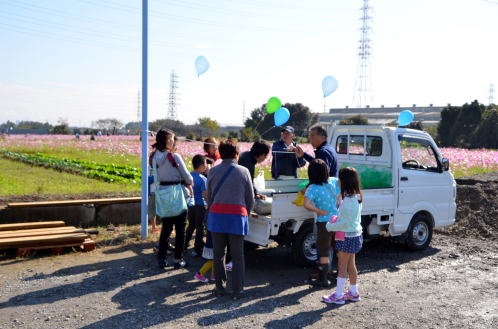 2015年度鹿室コスモス祭りの会場での写真7枚目