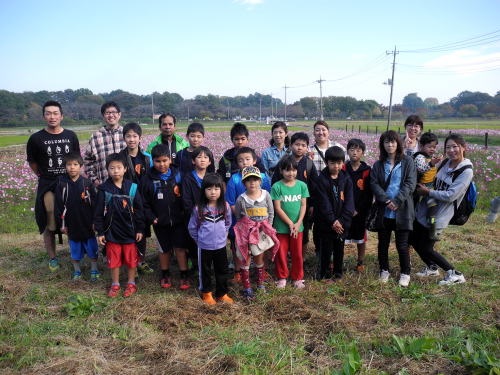 2015年度鹿室コスモス祭りの会場での写真17枚目