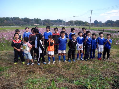 2015年度鹿室コスモス祭りの会場での写真21枚目