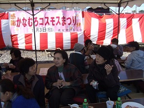 2016年度鹿室コスモス祭りの会場での写真2枚目