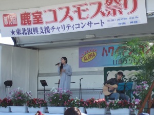 2016年度鹿室コスモス祭りの会場での写真6枚目