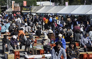 2017年度鹿室コスモス祭りの会場周辺での写真5枚目