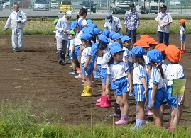 2018年度鹿室コスモス祭りへの準備が始まりました。9月6日に2018年度コスモス祭りになるコスモス畑に園児たちが種を蒔いている写真3枚目。