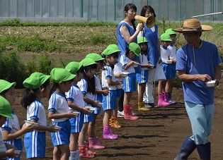 2018年度鹿室コスモス祭りへの準備が始まりました。9月6日に2018年度コスモス祭りになるコスモス畑に園児たちが種を蒔いている写真14枚目。