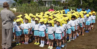 2018年度鹿室コスモス祭りへの準備が始まりました。9月6日に2018年度コスモス祭りになるコスモス畑に園児たちが種を蒔いている写真15枚目。