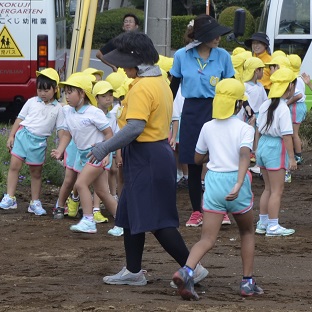 2018年度鹿室コスモス祭りへの準備が始まりました。9月6日に2018年度コスモス祭りになるコスモス畑に園児たちが種を蒔いている写真29枚目。