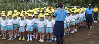 2018年度鹿室コスモス祭りへの準備が始まりました。9月6日に2018年度コスモス祭りになるコスモス畑に園児たちが種を蒔いている写真31枚目。