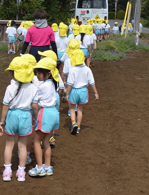 2018年度鹿室コスモス祭りへの準備が始まりました。9月6日に2018年度コスモス祭りになるコスモス畑に園児たちが種を蒔いている写真33枚目。